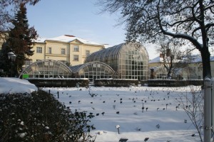 Botanická zahrada Brno